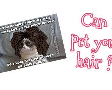 TNC_feat_canipetyourpet