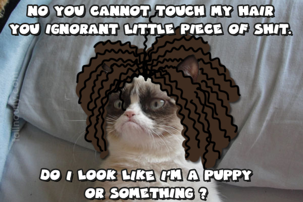 Tall N Curly - Grumpy Cat