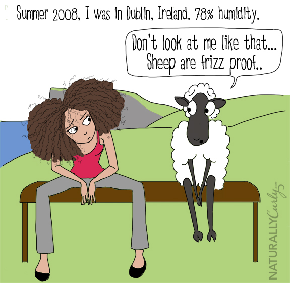 One of the biggest curly hair problems is frizz. In this comic, Tall N Curly travels the world and has to fight frizz depending on the country's humidity level. Here in Ireland, she sits next to s a sheep and feels she can relate to its frizzy wool.