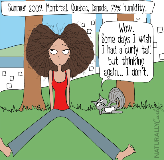 One of the biggest curly hair problems is frizz. In this comic, Tall N Curly travels the world and has to fight frizz depending on the country's humidity level. Here in Montreal, Canada, a squirrel comes and tells her that he envies her curly hair