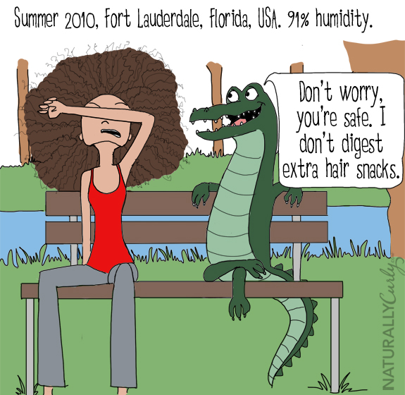 One of the biggest curly hair problems is frizz. In this comic, Tall N Curly travels the world and has to fight frizz depending on the country's humidity level. Here in Fort Lauderdale, Florida, she meets.a crocodile that tells her that she doesn't need to fear him because he can't digest extra hair snacks