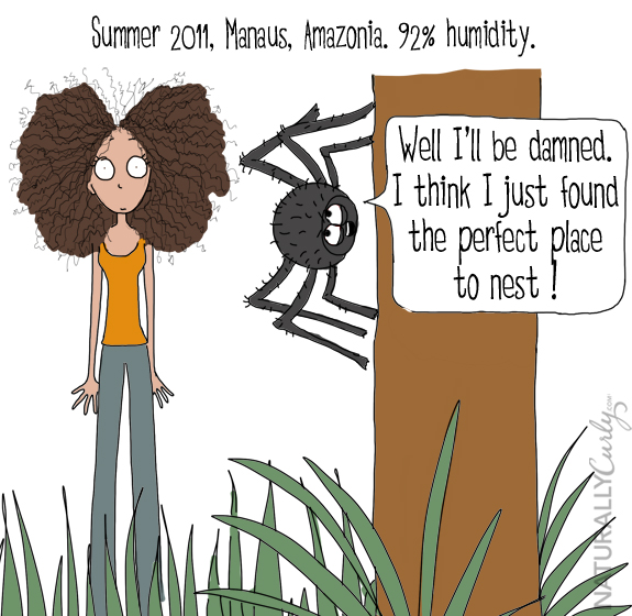 One of the biggest curly hair problems is frizz. In this comic, Tall N Curly travels the world and has to fight frizz depending on the country's humidity level. Here in the Amazonian forest, she meets a spider who thinks that her frizzy hair would be perfect for her nest