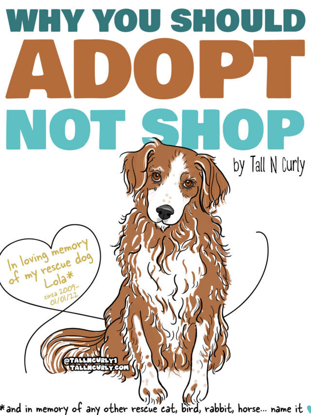 WHY YOU SHOULD ADOPT, NOT SHOP: THE STORY OF MY RESCUE DOG LOLA