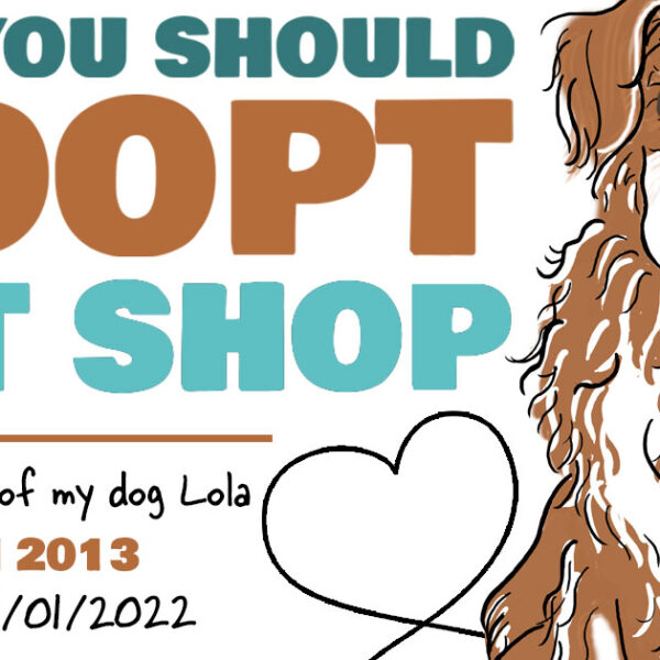 Why you should adopt, not shop: the story of my rescue dog Lola