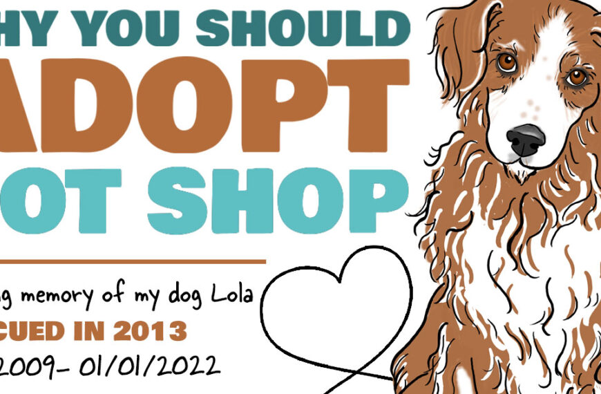 Why you should adopt, not shop: the story of my rescue dog Lola